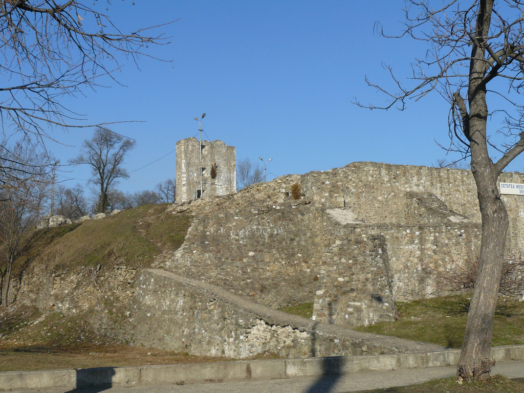 Cetatea medievală a Severinului